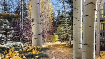 House, 3 Bedrooms | Property grounds