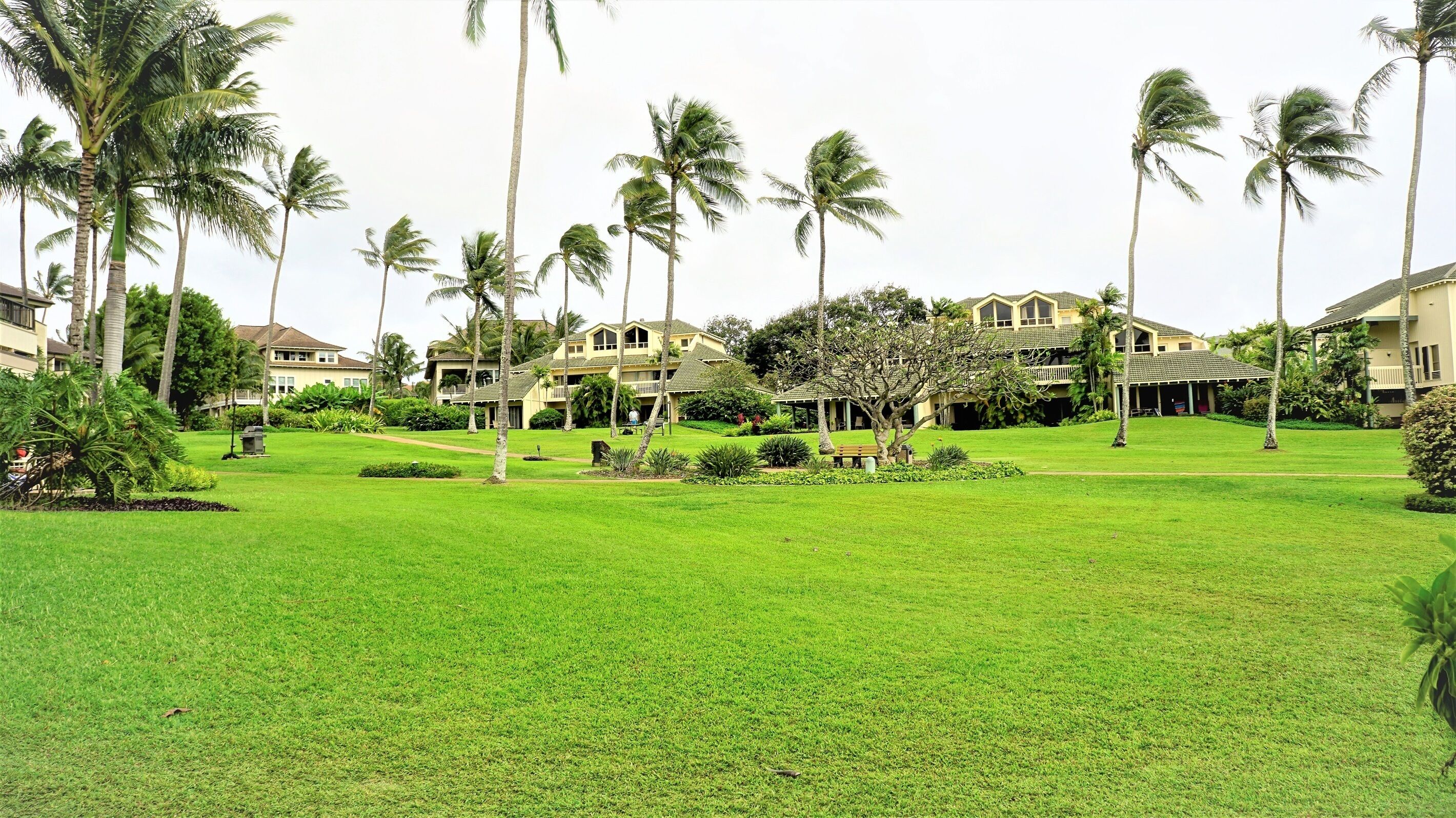 Parco della struttura