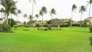 A well-maintained lawn with palm trees and a building with multiple balconies. - Ocean View & AC! 3 Min Walk To Poipu Beach! (Koloa)