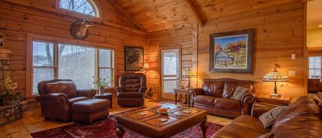 Fernseher, Kamin, DVD-Player