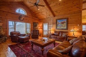 TV, fireplace, DVD player