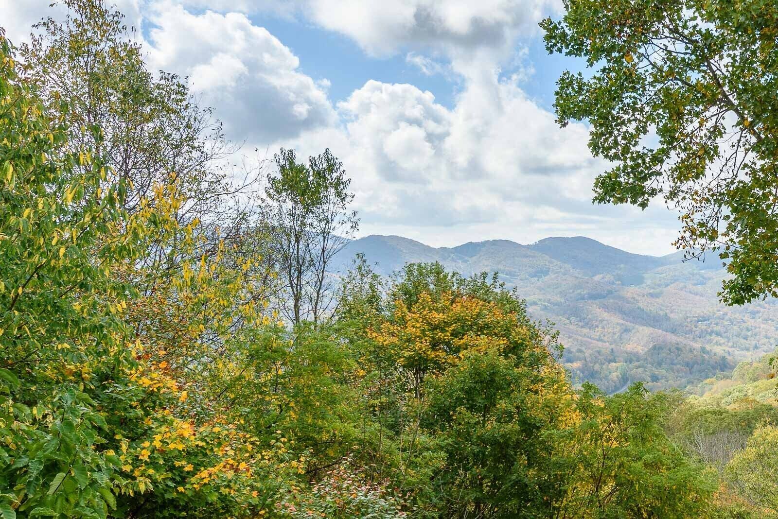 A mountainous landscape with dense foliage and a clear sky.