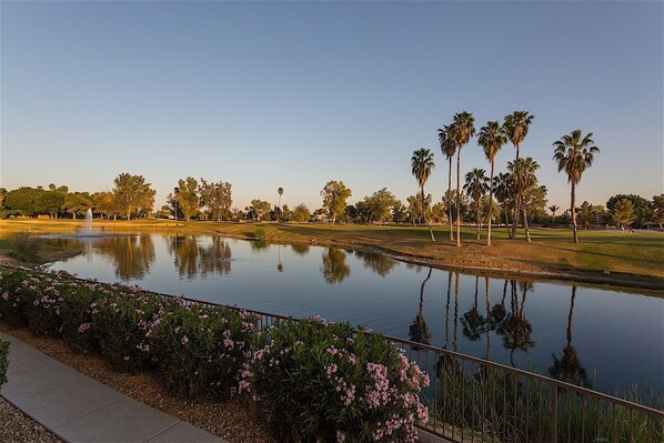 Um campo de golfe sereno com um lago tranquilo, palmeiras e céu claro.