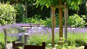 A table with a clear glass and a chair, set outdoors with a garden and a wooden pergola in the background. - Hotel Hemelhuys (Hasselt)
