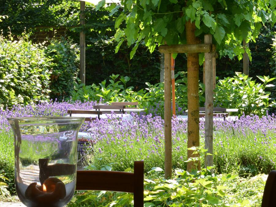 A table with a clear glass and a chair, set outdoors with a garden and a wooden pergola in the background.
