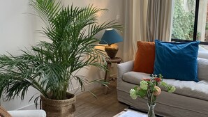 A living room with a sofa, a coffee table, a potted plant, and a window with curtains. - Hotel Hemelhuys (Hasselt)