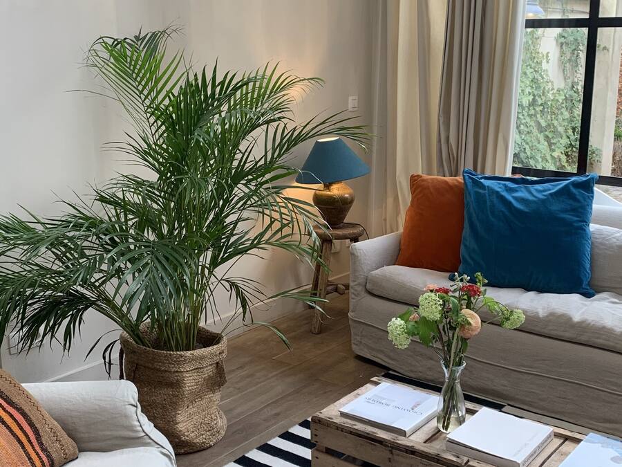 Una sala de estar con un sofá, una mesa de centro, una planta en maceta y un ventanal con cortinas.