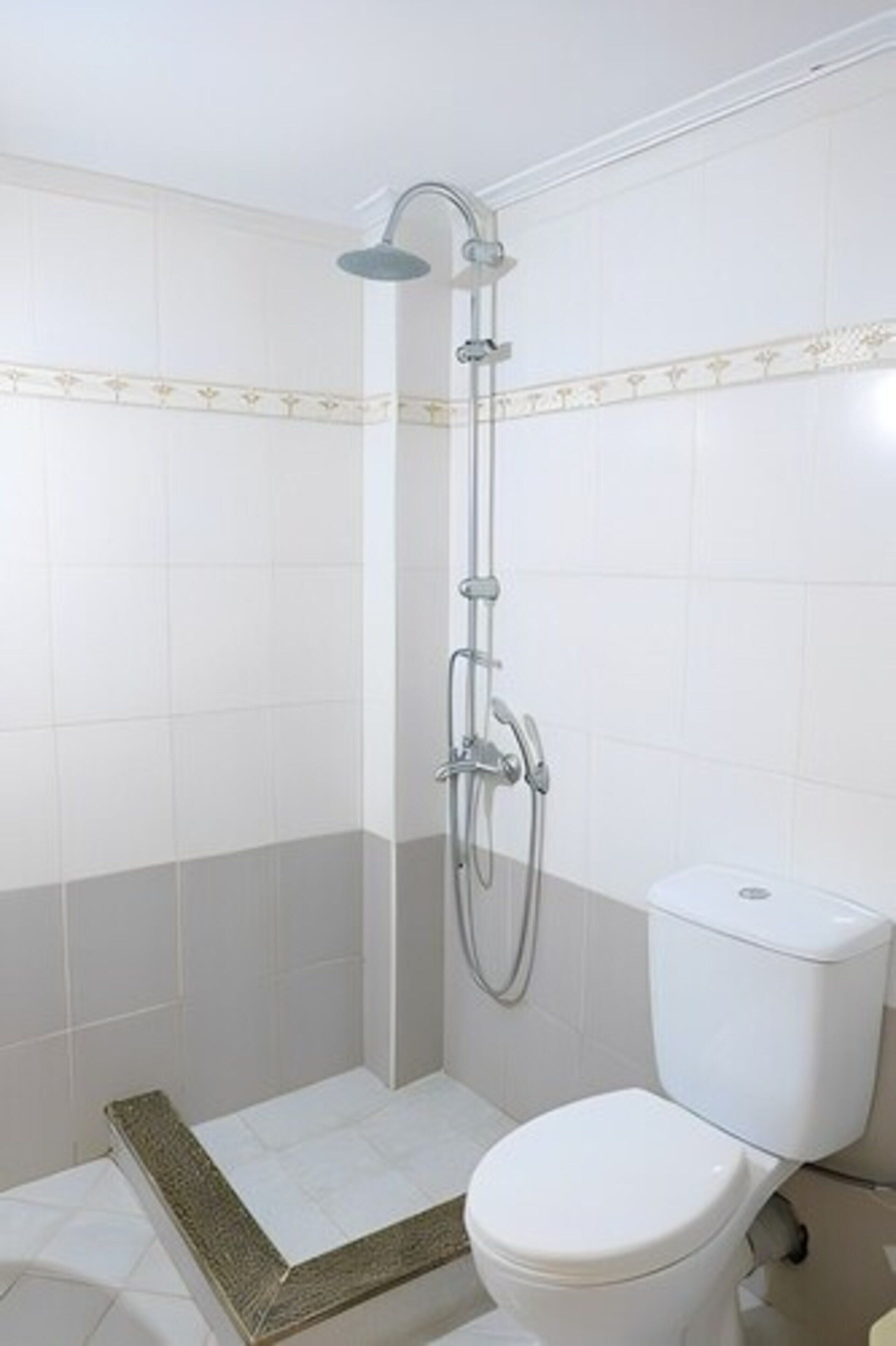 A bathroom with a shower, toilet, and a patterned tile border.