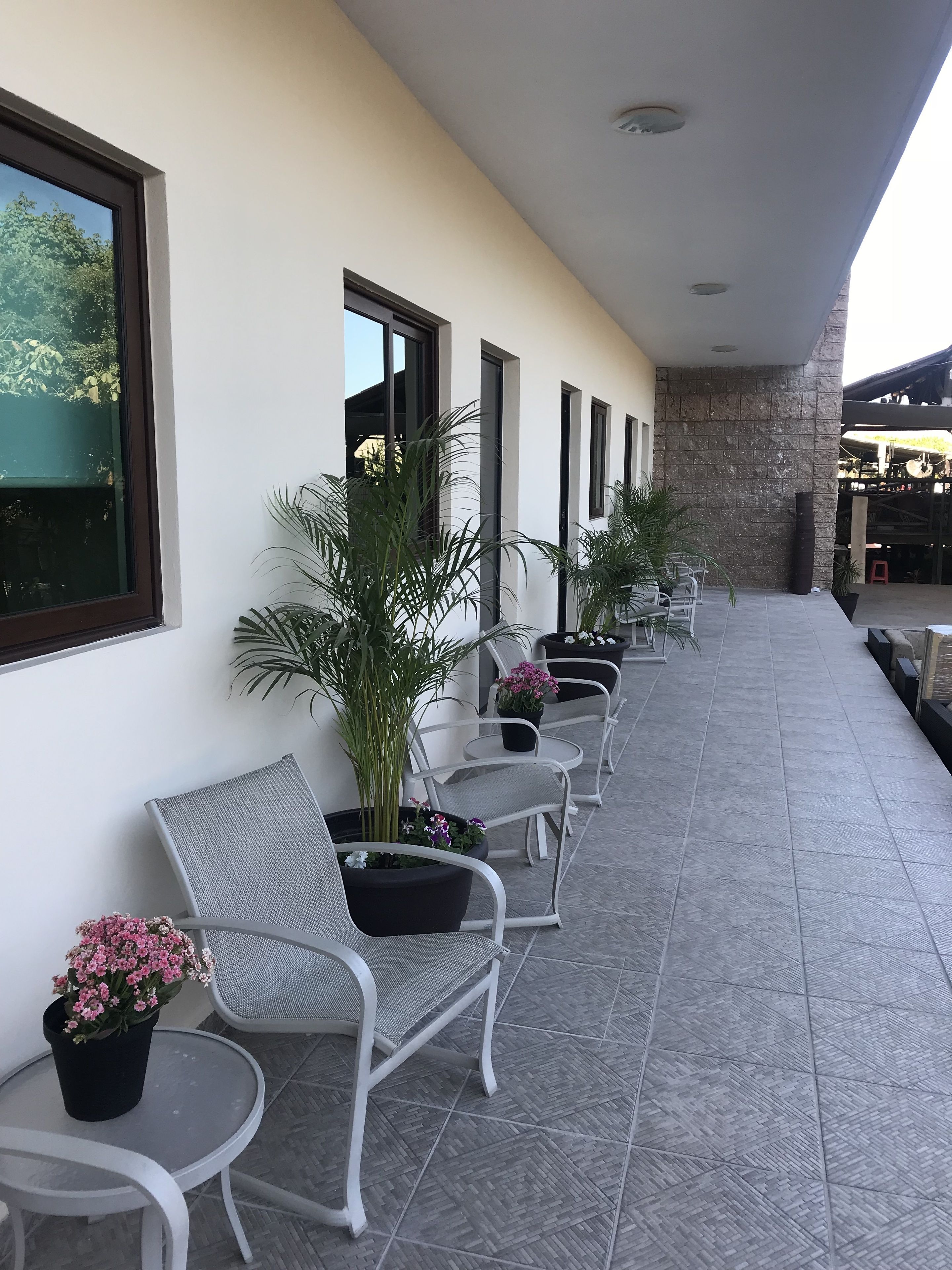 Terraza o patio