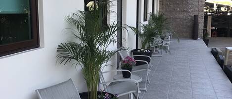 Terraza o patio