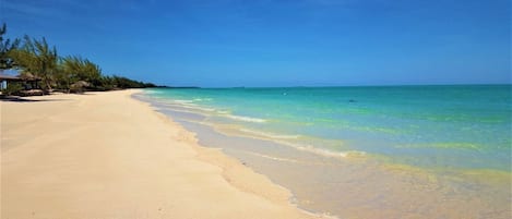 Una playa con agua turquesa cristalina, orilla de arena y algo de vegetación.