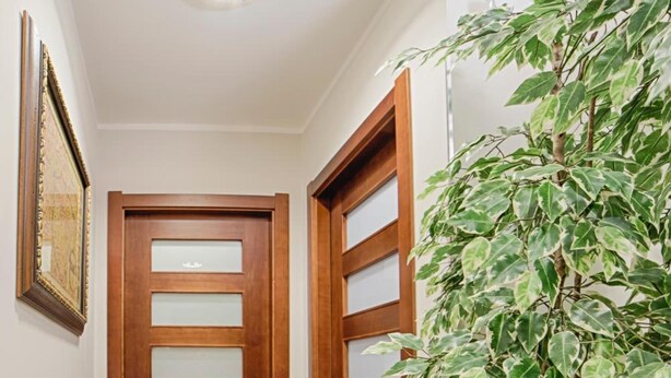 A hallway with wooden doors, a potted plant, and a framed picture on the wall.