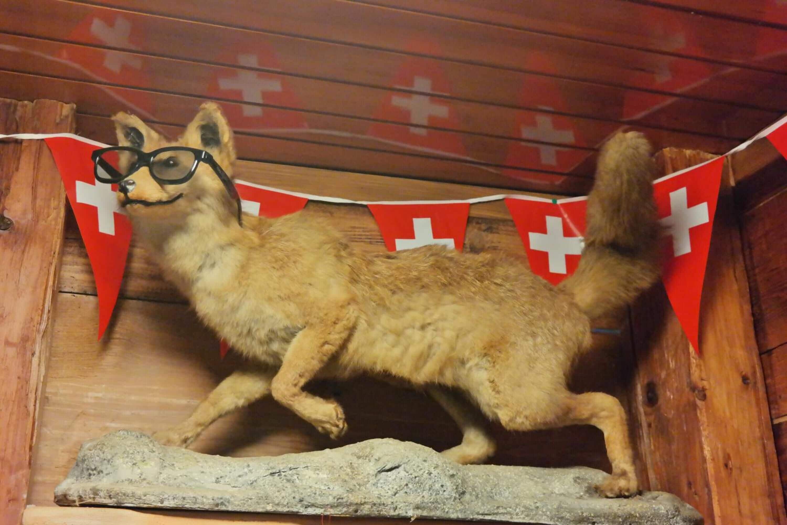 Foto - Bellpark Hostel