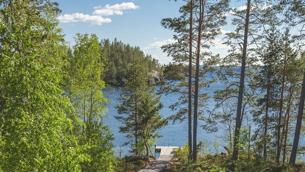 A wooden bench on a deck overlooking a lake with trees and a distant building.