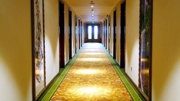 Een lange, smalle hotelgang met een kamerjas patroon, kunstwerken aan de muur en een rij deuren die naar kamers leiden.