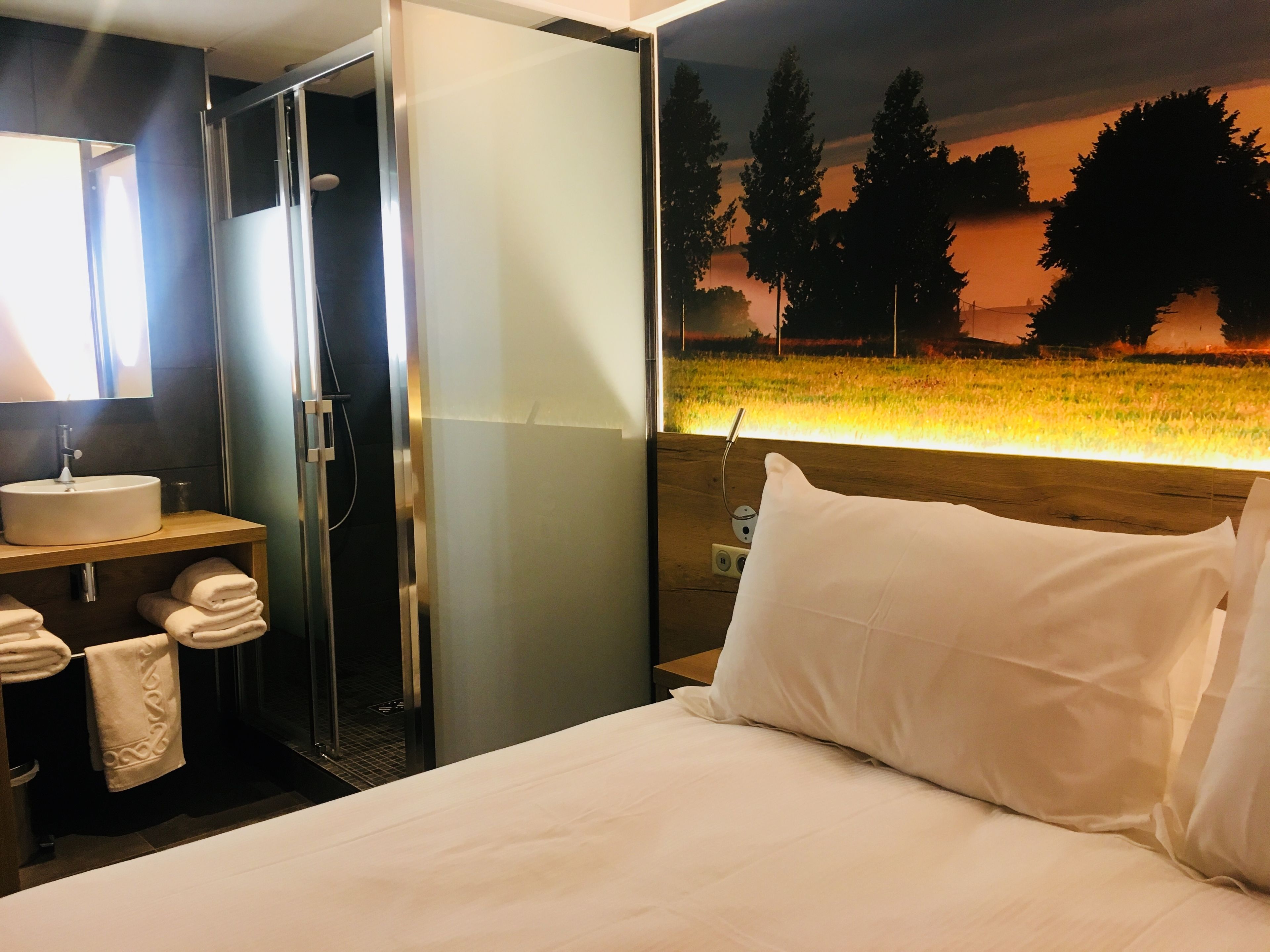 Una habitación de hotel con cama, baño con ducha, lavabo y toallero.