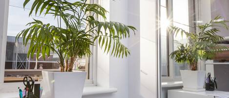 Basic Studio, Private Bathroom