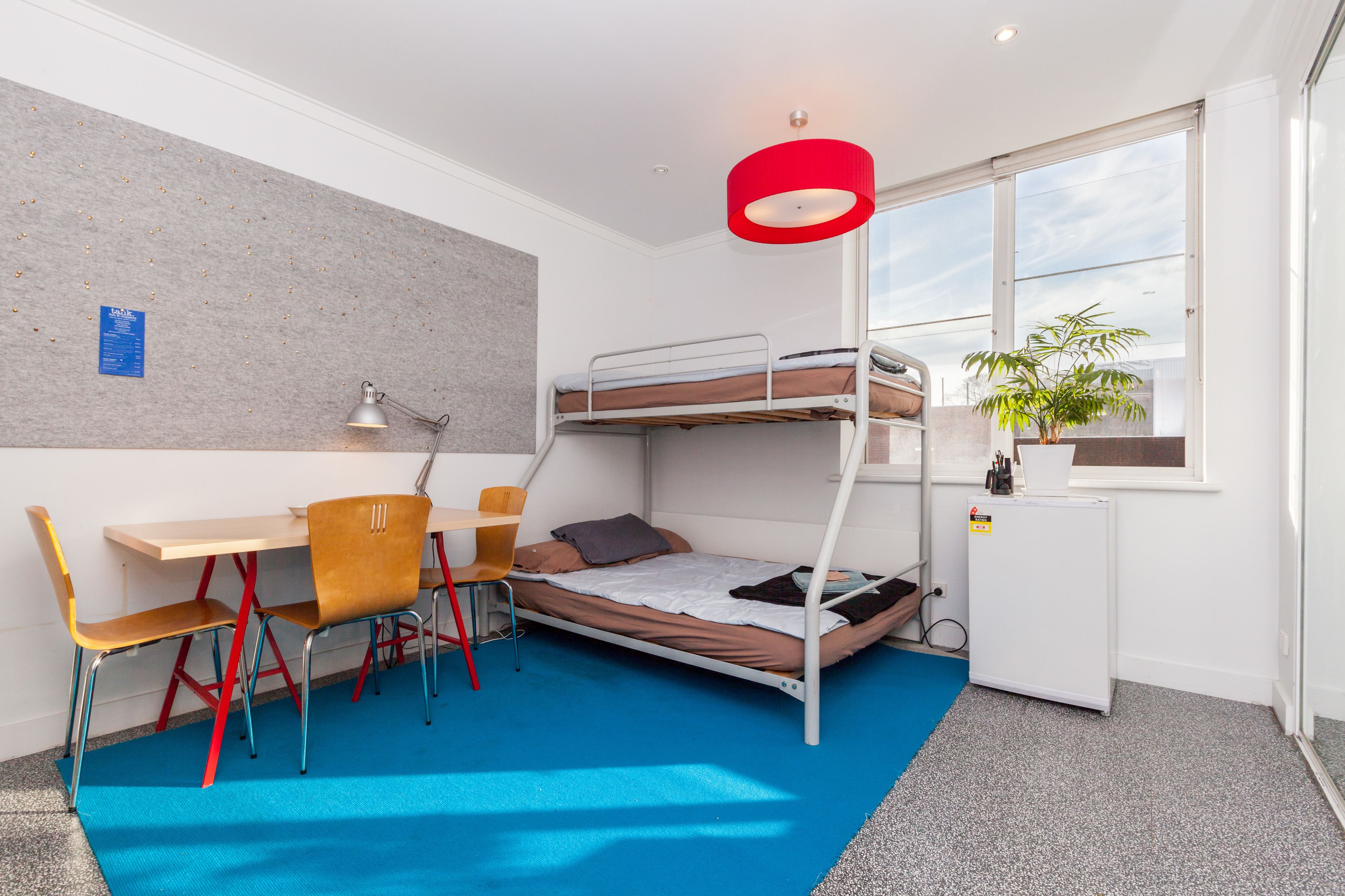 A compact room with bunk beds, a desk, chairs, a small refrigerator, and a potted plant.