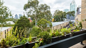 Un jardin sur le toit, avec différentes plantes, et une vue sur la ville en arrière-plan.