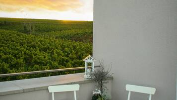 A balcony with two white chairs, a small wooden table with a potted plant, and a view of a green landscape under a cloudy sky.