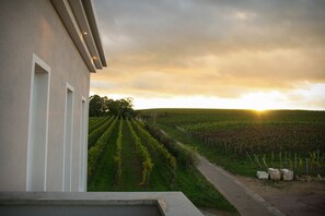 Blick von der Unterkunft