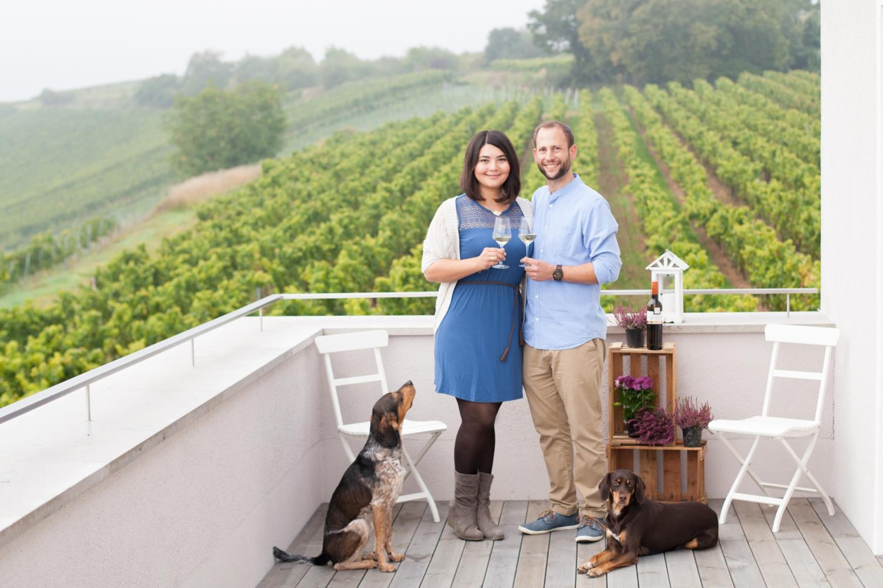 A balcony with a vineyard view, two people holding wine glasses, and two dogs.