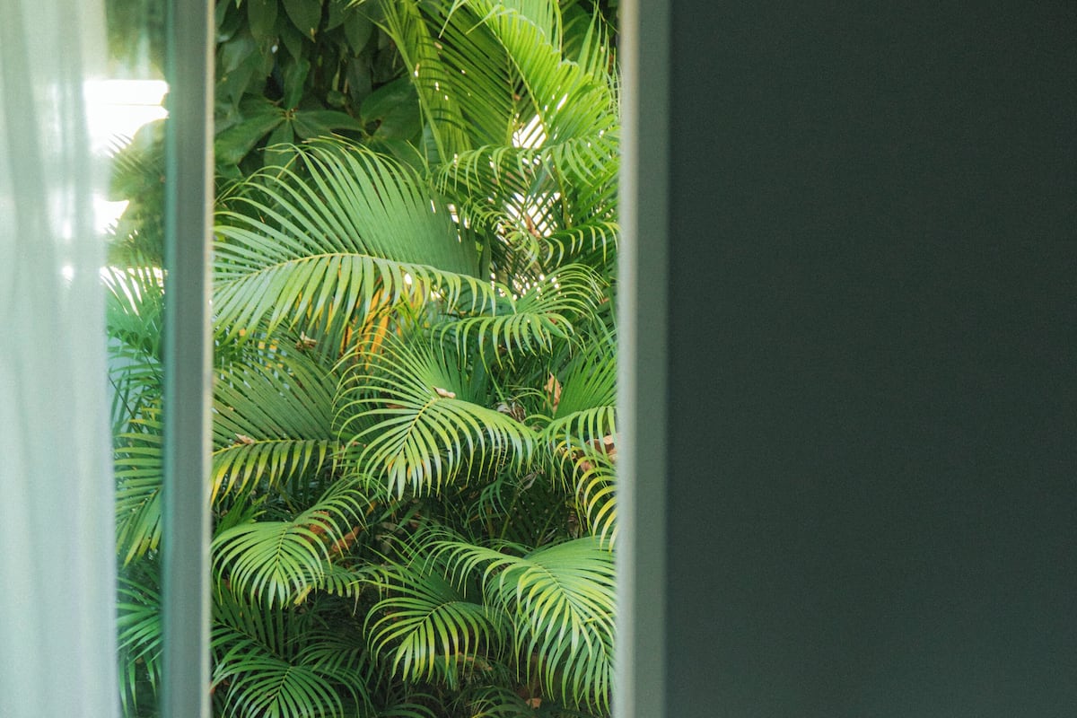 A room with a window overlooking dense foliage, a bedside table with a lamp, and a bed with pillows.