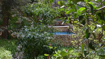Un jardín con un muro de piedra, una pequeña piscina y diversas plantas.