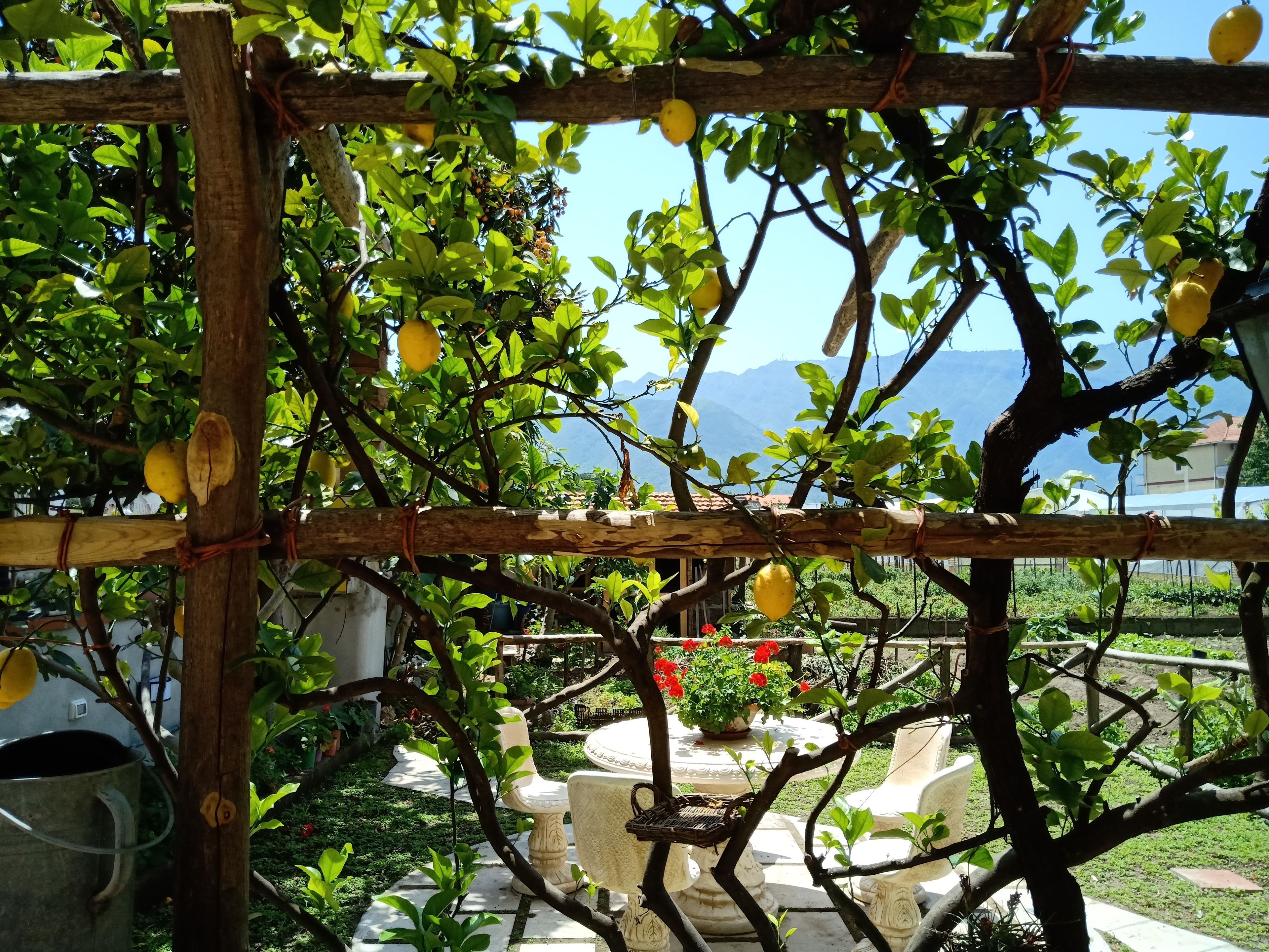 تلفزيون بشاشة مسطحة