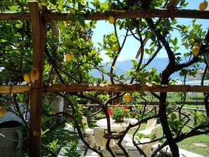 Un jardín con limoneros, una pérgola y vistas a las montañas.