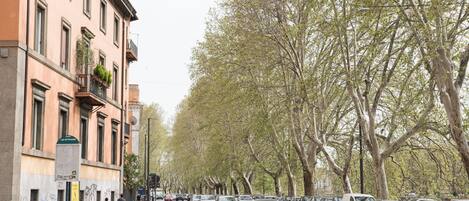 Rua com carros estacionados e árvores.