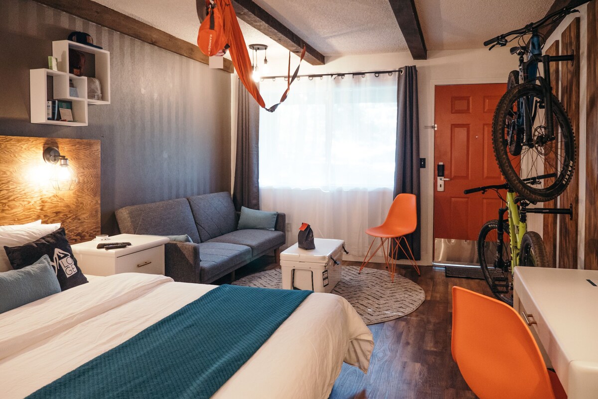 Une chambre d’hôtel moderne équipée d’un lit, d’un canapé, d’une petite table, d’une chaise, d’un vélo et d’une armoire.