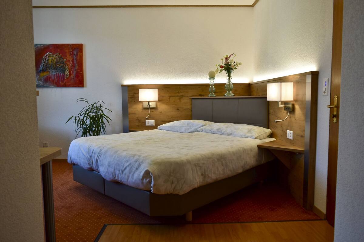 Superior Double Room | In-room safe, desk, soundproofing, cribs (surcharge)