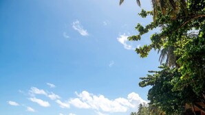 A beach with clear skies and palm trees. - Pousada Oceania (São Gonçalo do Amarante)