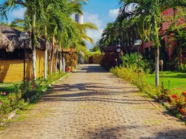 Un sendero pavimentado bordeado por palmeras y edificios con techos de paja.