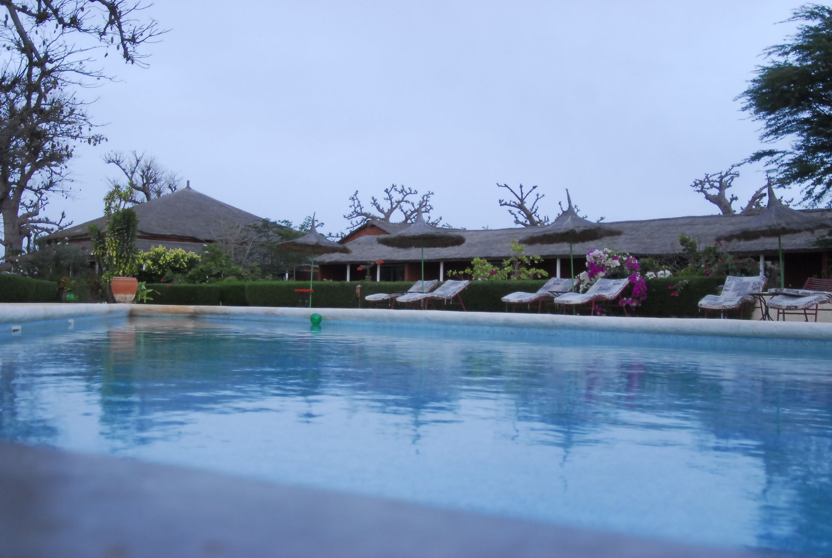 outdoor pool, pool loungers