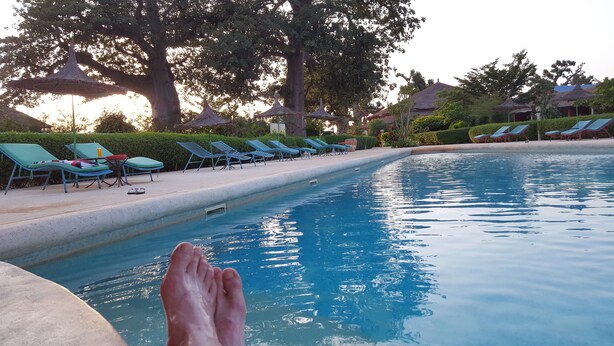 En pool med solstolar och parasoller, omgiven av träd och en byggnad.
