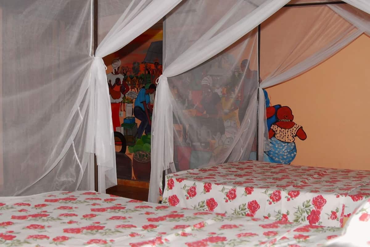 standard quadruple room | in-room safe, desk, free wifi, bed sheets