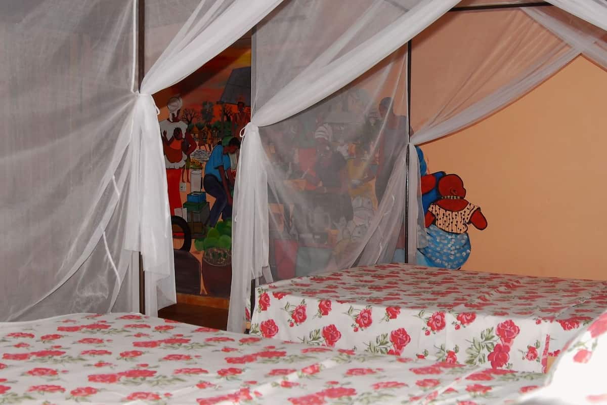 Standard Quadruple Room | In-room safe, desk, free WiFi, bed sheets