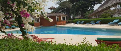 Outdoor pool, pool loungers