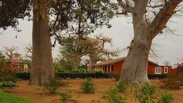 Un árbol grande con vainas colgantes, un edificio rojo y un sendero de tierra en un jardín.