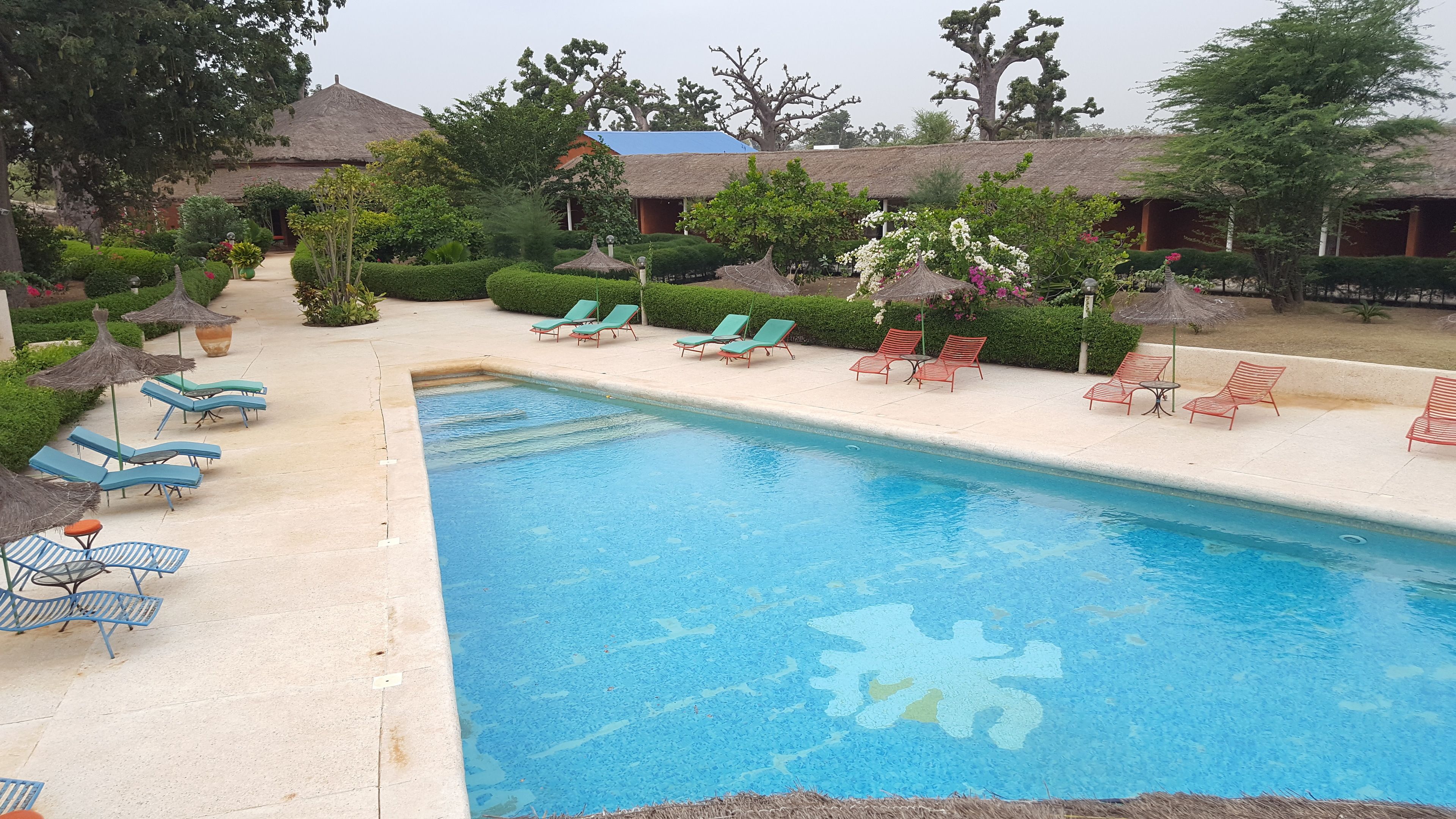 outdoor pool, pool loungers