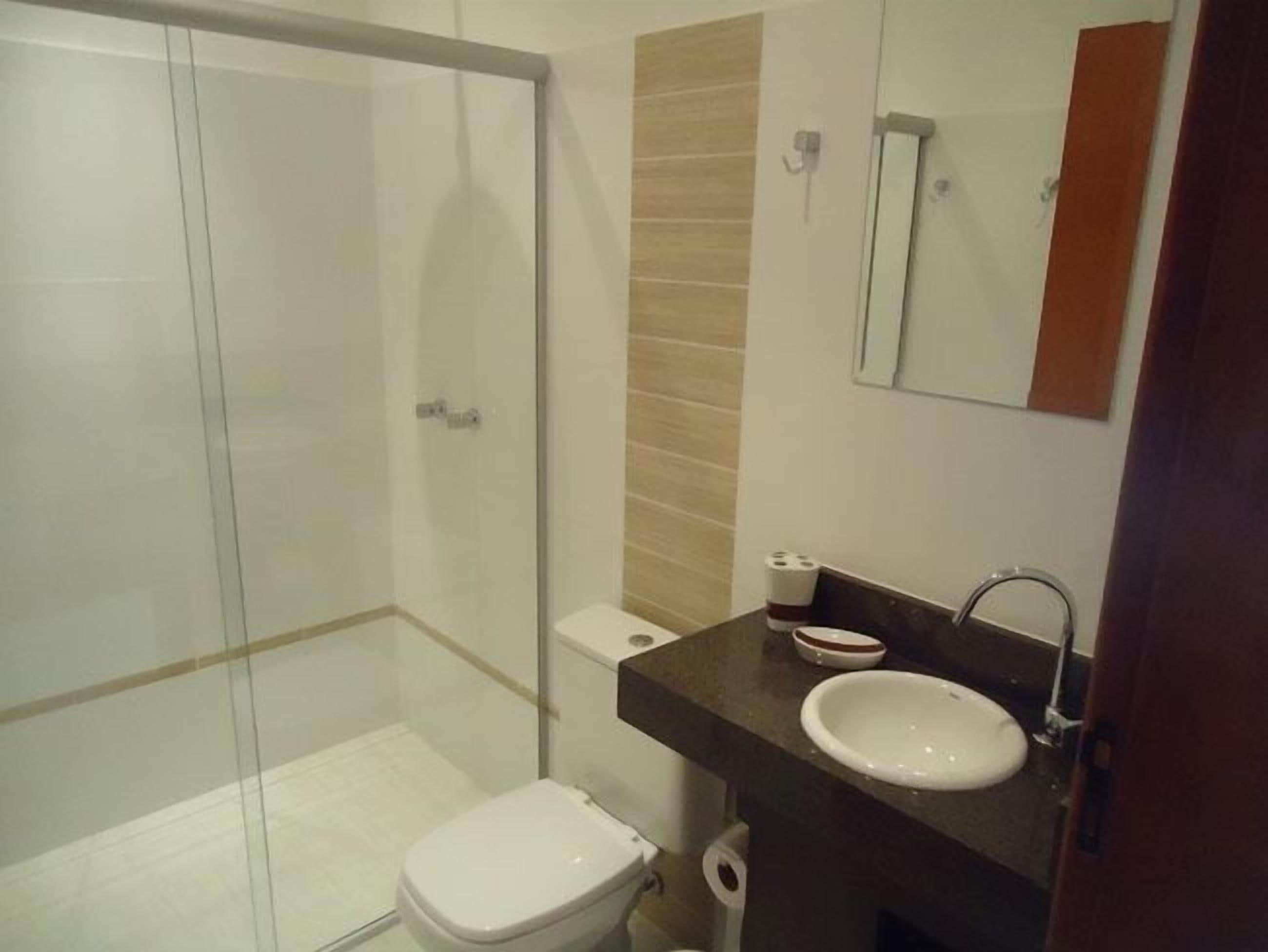 A bathroom with a glass shower enclosure, a white toilet, a sink, and a mirror.