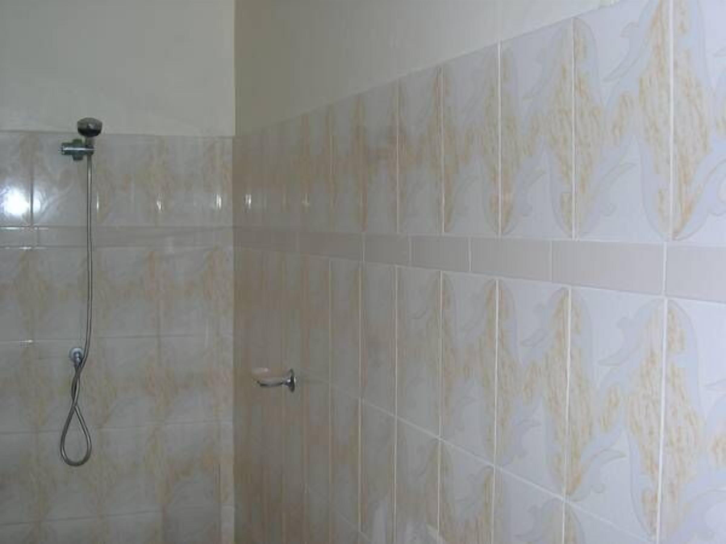 Standard Double or Twin Room | Bathroom shower