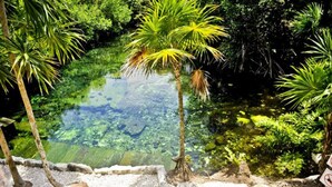 A tropical garden with a clear pond, surrounded by lush greenery and palm trees. - Bel Air Collection Resort & Spa Riviera Maya - All Inclusive (Xpu-Ha)