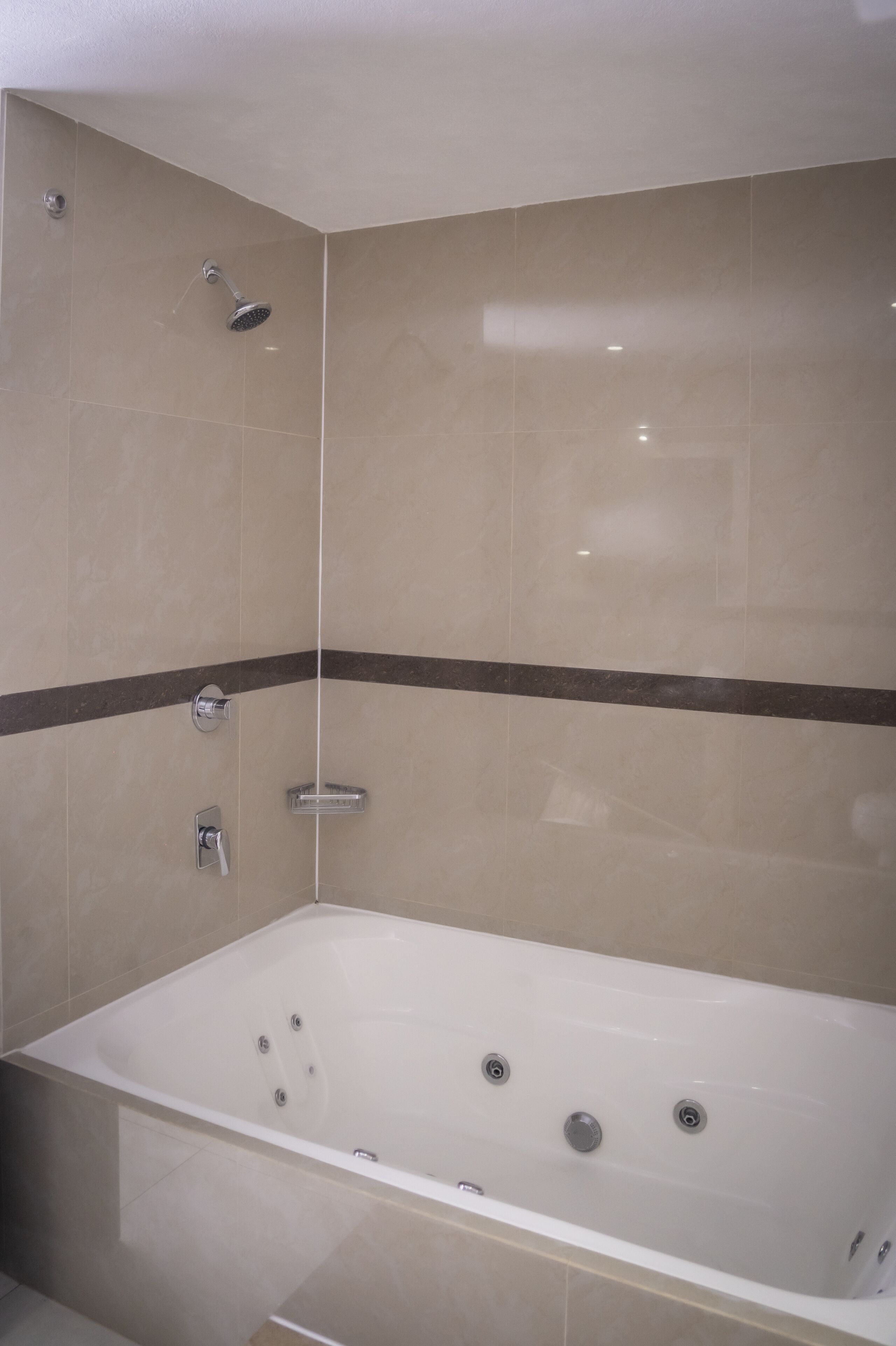 premium suite | jetted bathtub