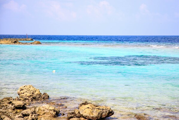 Vistas desde el alojamiento