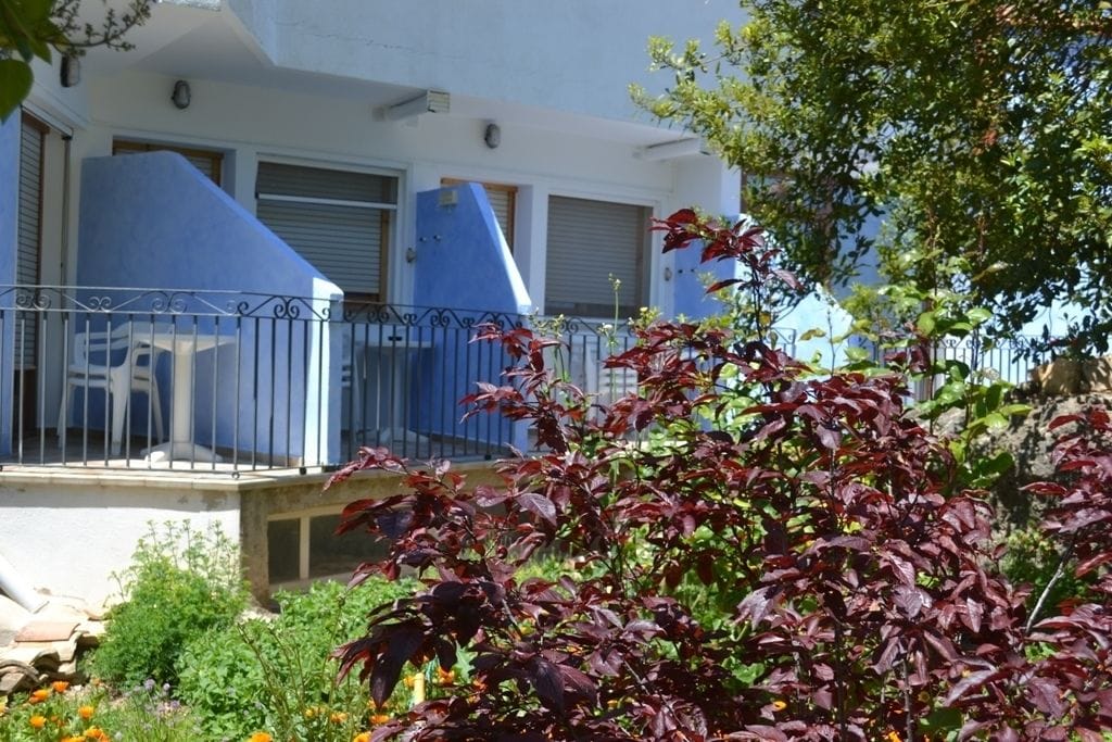 economy double room | terrace/patio