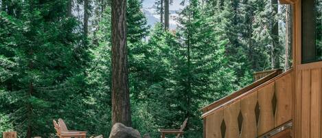 A cabin with a wooden staircase, two Adirondack chairs, and a large tree in a forest setting.