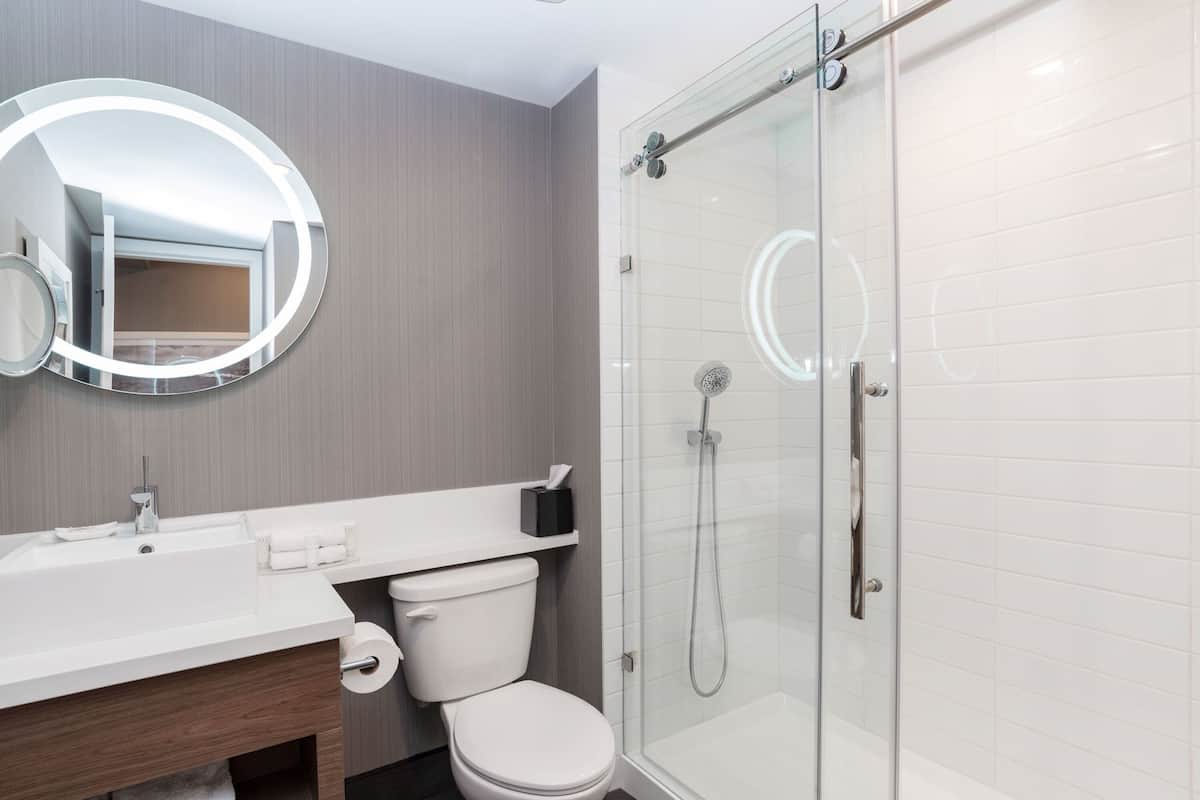 Free toiletries, hair dryer, towels